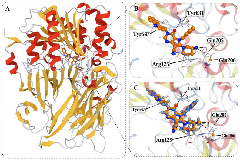 Figure 6