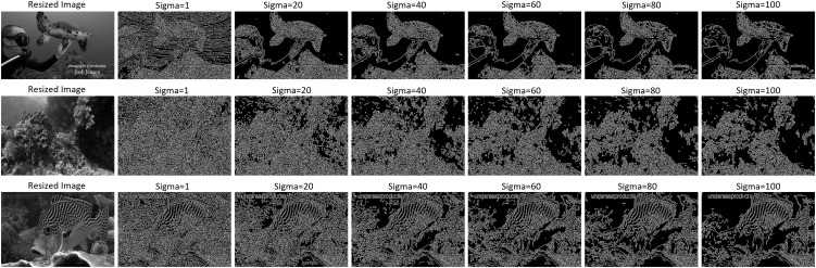 Fig 10