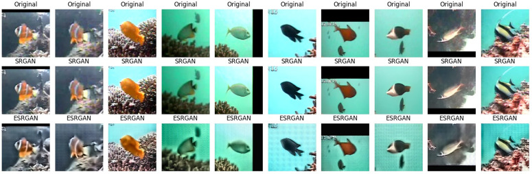 Fig 23