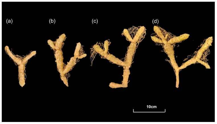 Figure 10