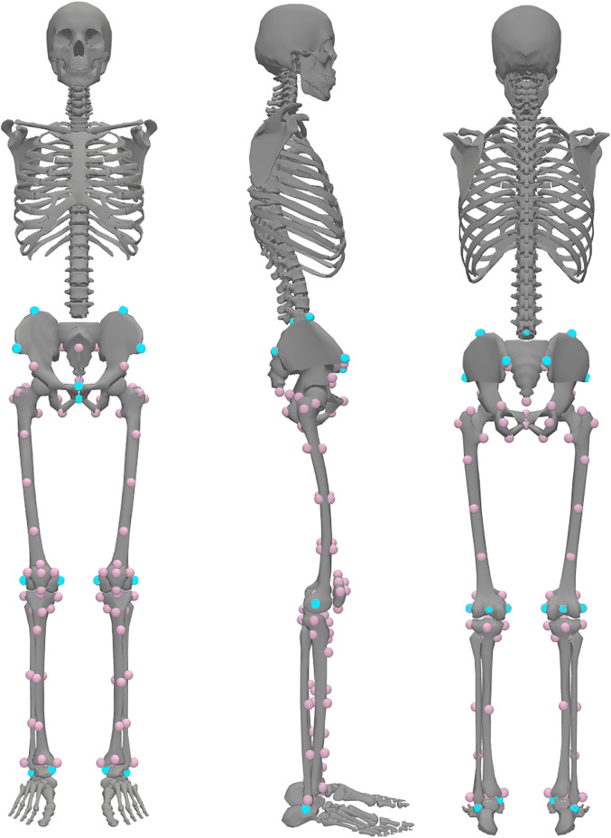Fig 6