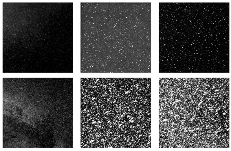 Figure 14