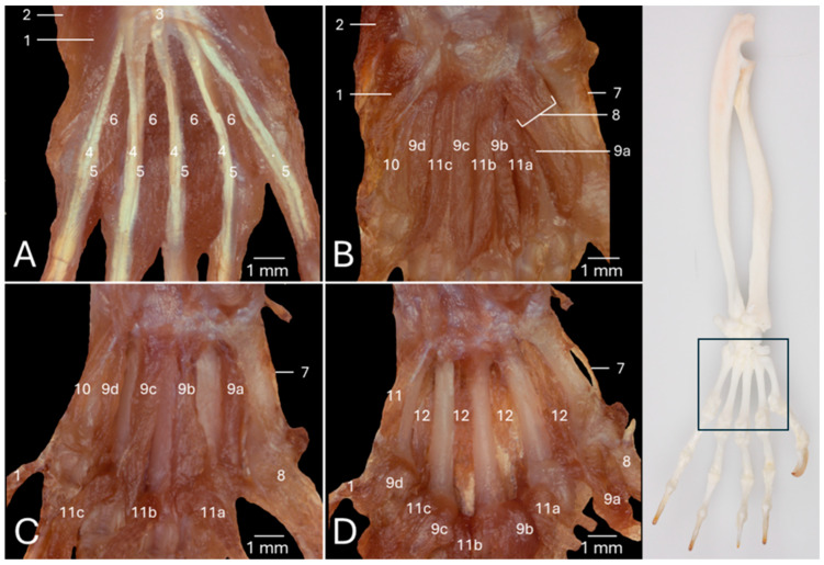 Figure 7