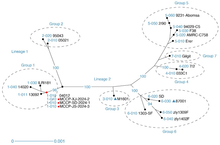 Figure 5