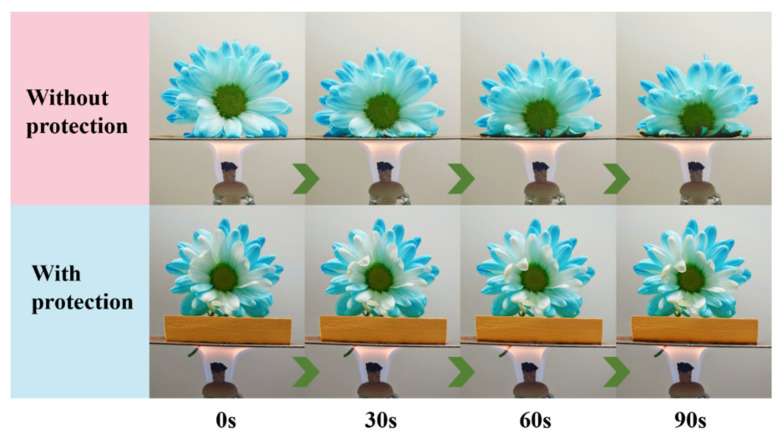Figure 9