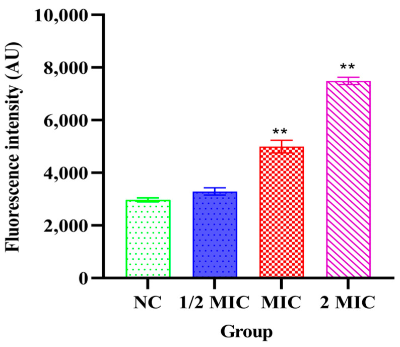 Figure 4