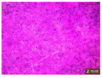 Figure 22