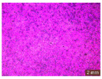 Figure 23