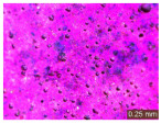 Figure 26