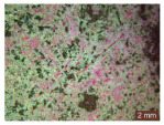 Figure 28
