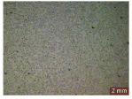 Figure 30