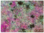 Figure 32