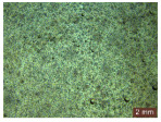 Figure 36