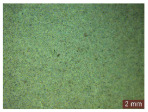 Figure 38