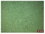 Figure 39