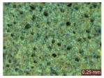 Figure 41