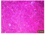 Figure 45