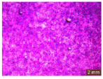 Figure 47
