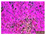 Figure 48