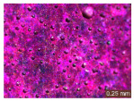 Figure 49