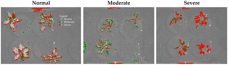 Figure 11