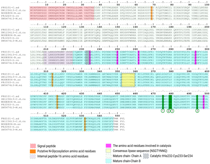 Figure 20