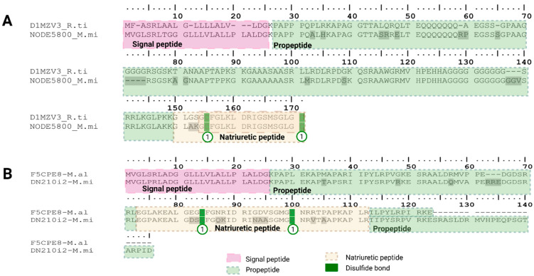 Figure 24
