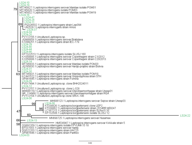 Figure 4
