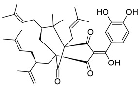 Figure 13