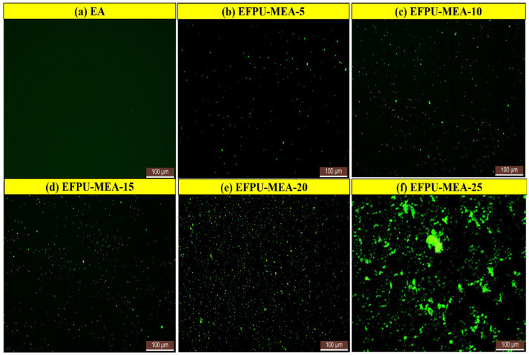Figure 24