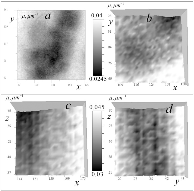 Figure 10