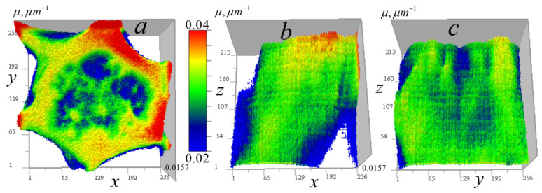 Figure 11