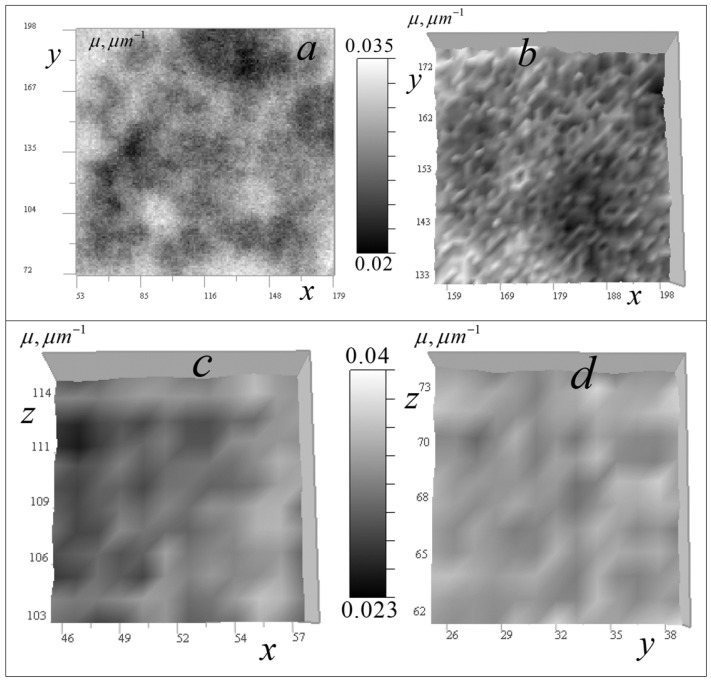 Figure 12