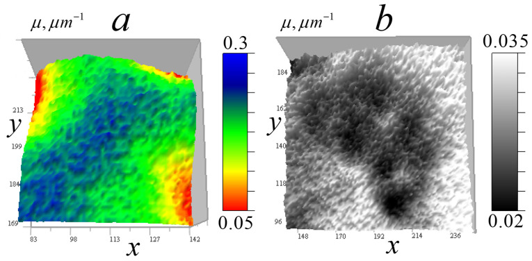 Figure 13