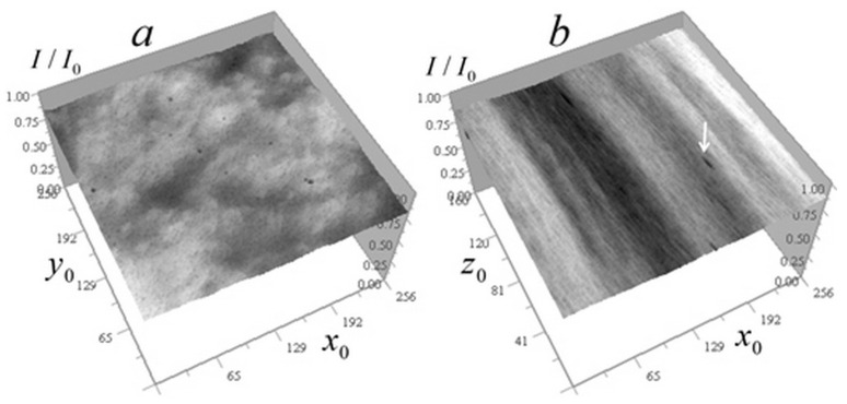 Figure 20