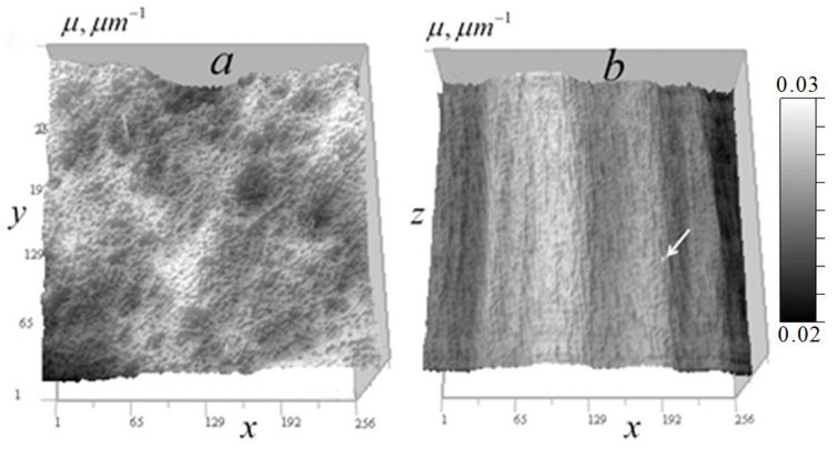 Figure 21