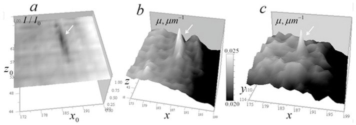 Figure 22