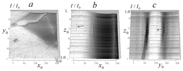Figure 24