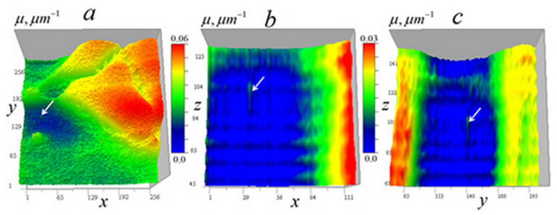 Figure 25