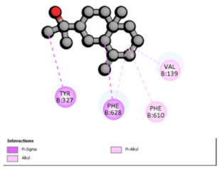 Figure 11