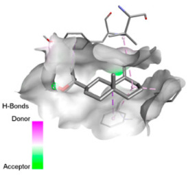 Figure 12