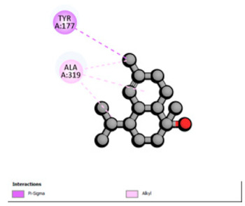 Figure 13
