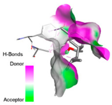 Figure 14