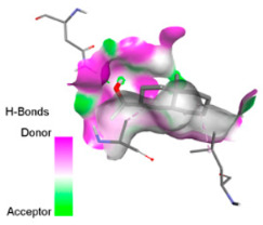 Figure 16