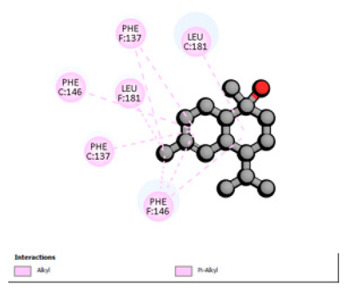 Figure 17