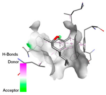 Figure 18