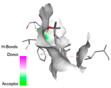 Figure 20
