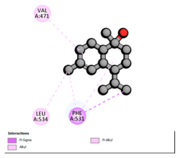 Figure 21