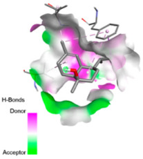 Figure 22