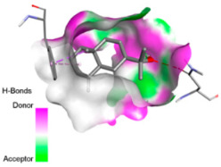 Figure 24